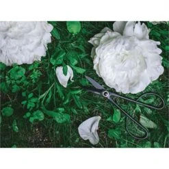 Barebones Living 048 Artisan Trimming Shears -Buck Knives || TOPS Knives || Dexter Shop 137883