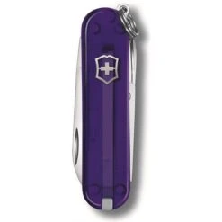 Victorinox 06223T29G Classic SD Persian Indigo -Buck Knives || TOPS Knives || Dexter Shop 159238
