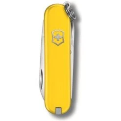 Victorinox 062238G Classic SD Sunny Side -Buck Knives || TOPS Knives || Dexter Shop 159249