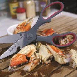 Clauss 18052 True Professional Shears -Buck Knives || TOPS Knives || Dexter Shop 159995